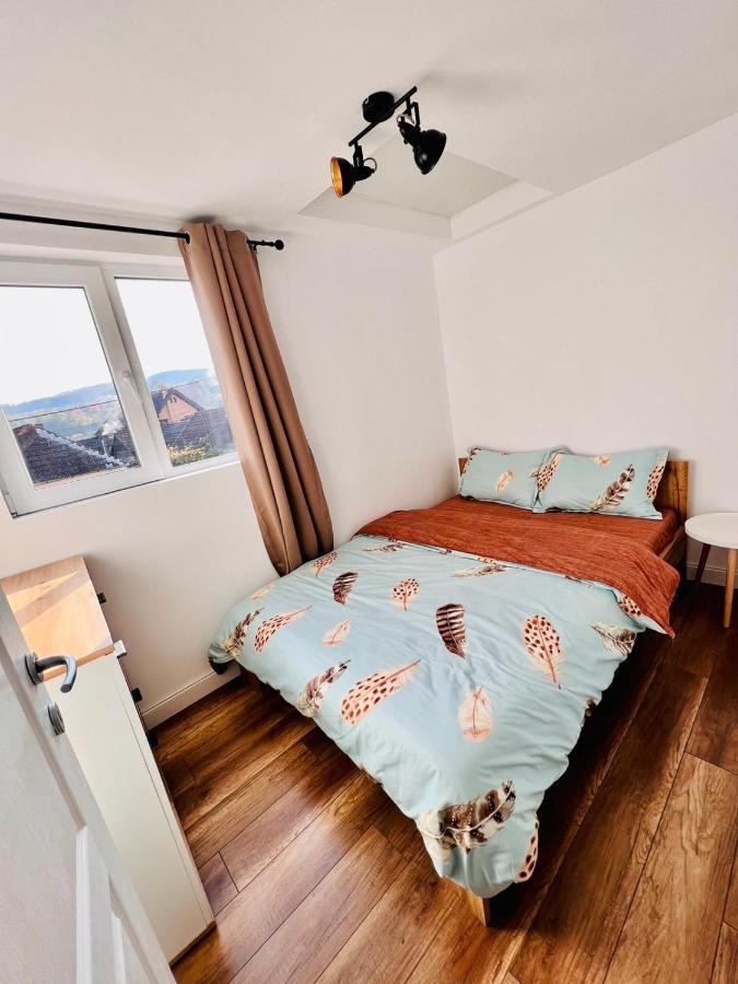 Master Adventure Guest House Vadu Crisului Exteriér fotografie